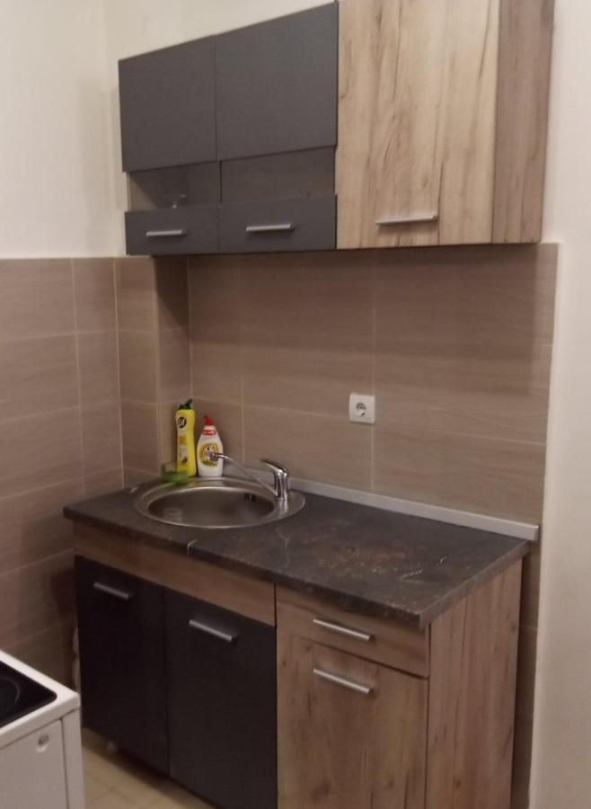 Lux Apartment Rose 2 60M2 クラグイェヴァツ エクステリア 写真